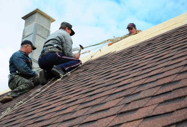 Best Local Roofing Companies  in Hazleton, PA